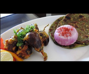 spinach doodhi paratha with stuff baingan